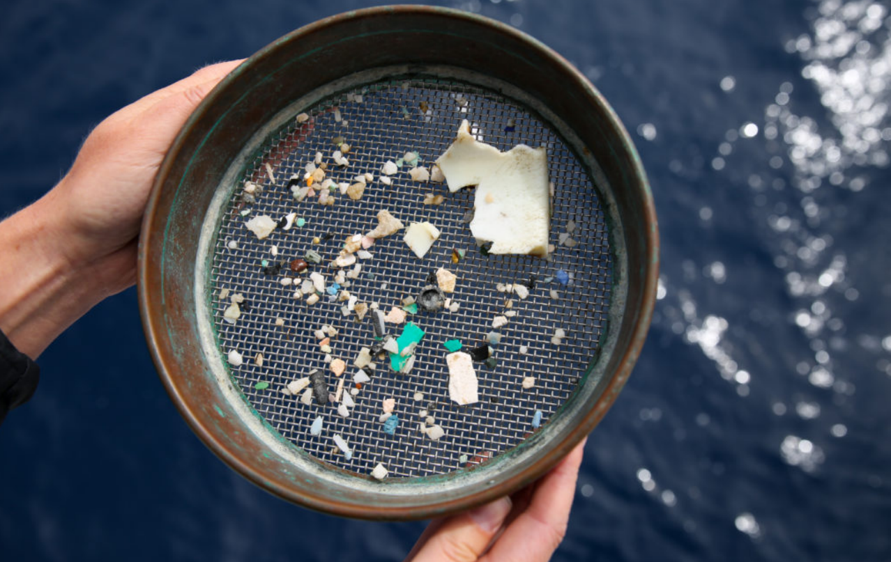 plastic picked up on an exxpedition journey