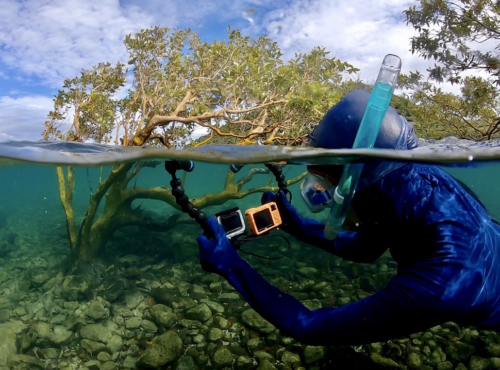 Sophie taking underwater pictures of mangroves