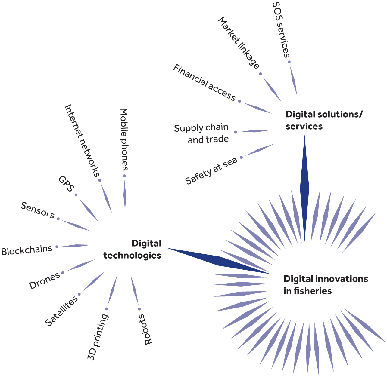 Summary of digital innovations in fisheries