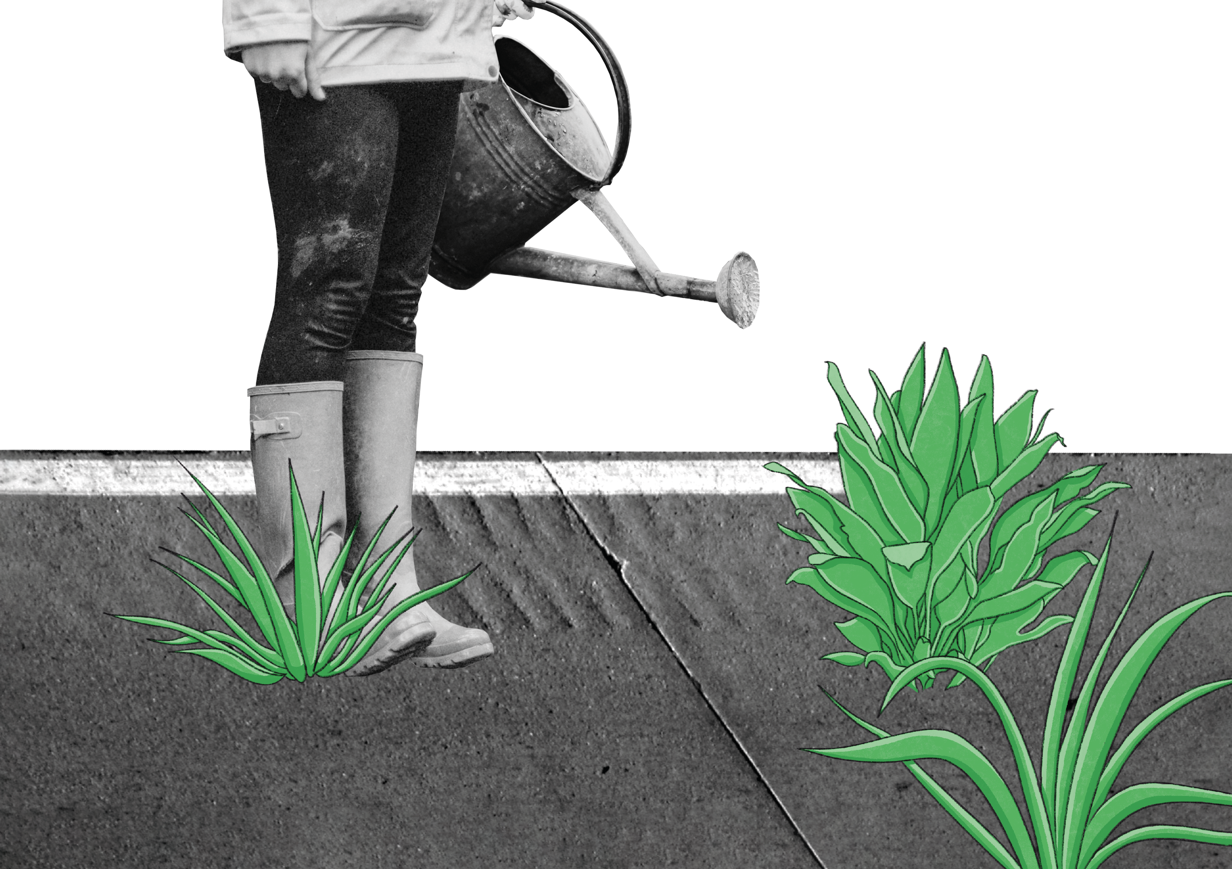 Respect in Commonwealth graphic