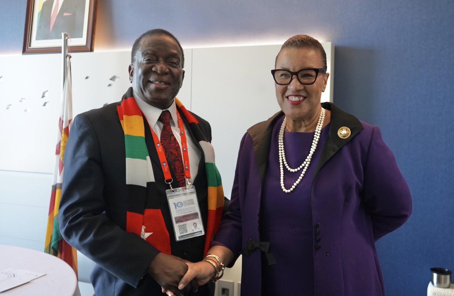 His Excellency President Emmerson Dambudzo Mnangagwa of Zimbabwe