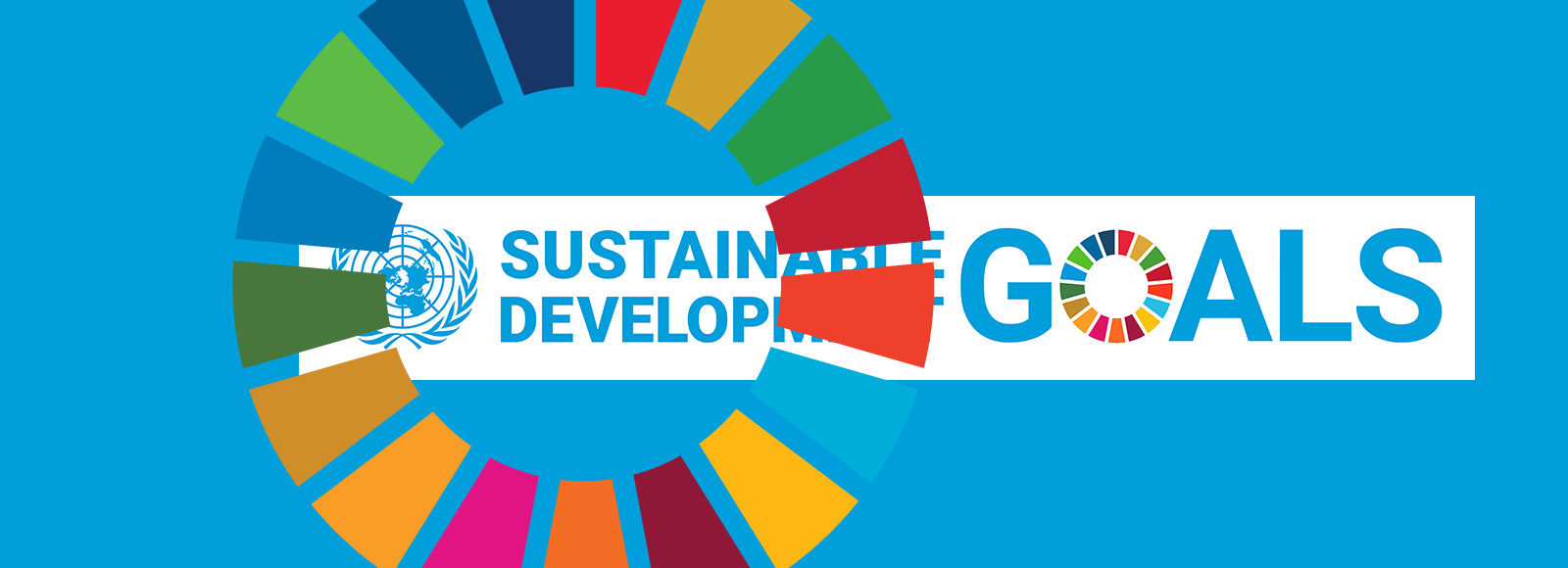 SDG logo
