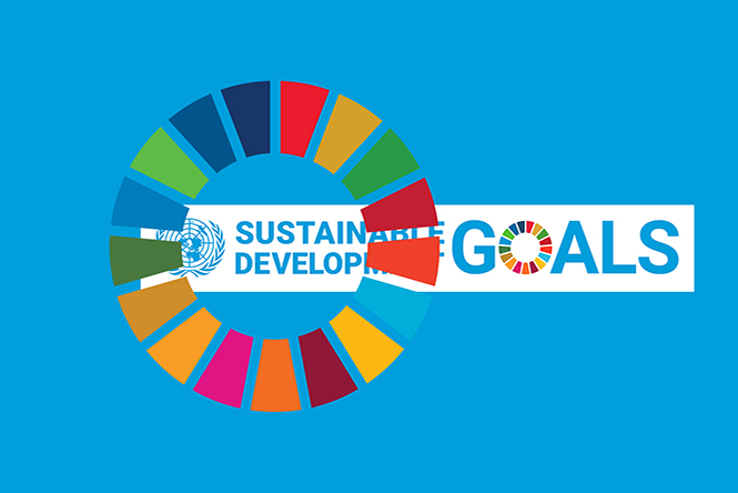 SDGs in the Commonwealth