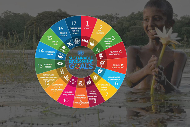 SDG Data Explorer Tool