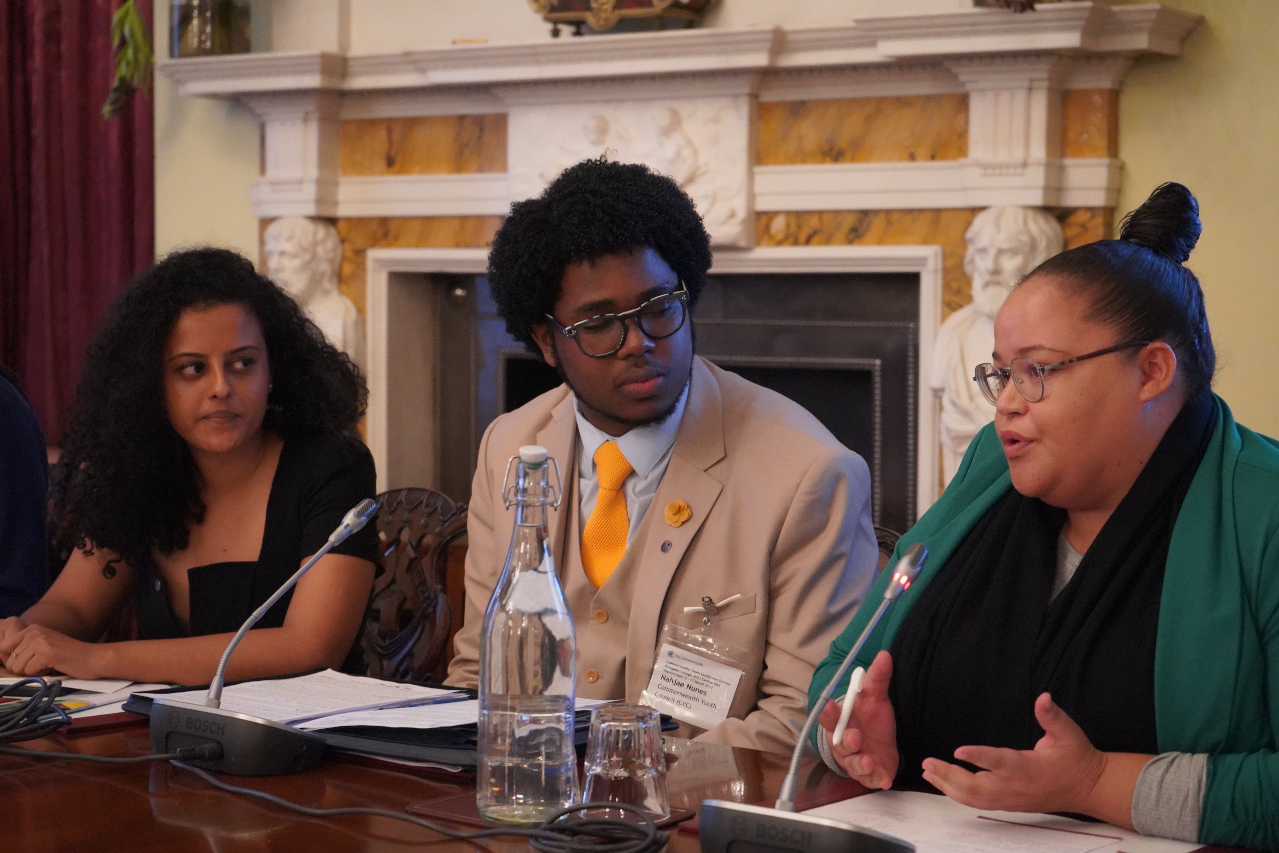 Youth leaders speaking on the panel at the event on Democracy Today in the Commonwealth: Enhancing Youth Political Participation in Governance