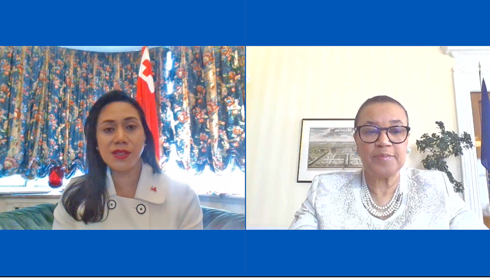 Secretary-General and High Commissioner speaking on the webinar