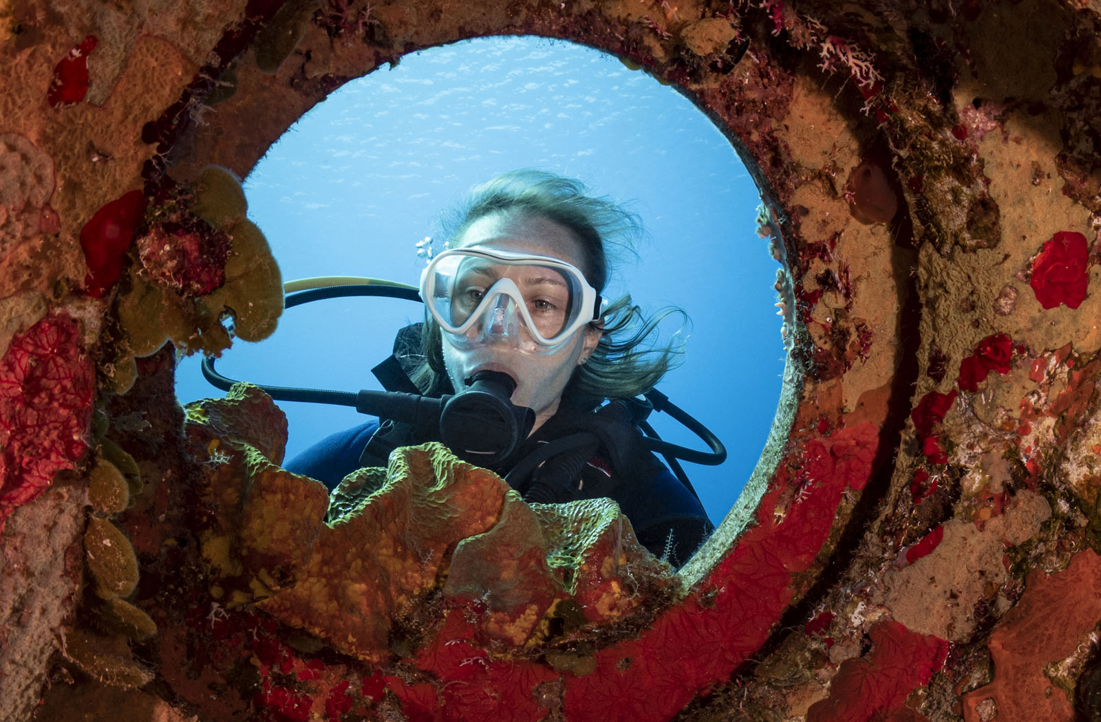 woman diver looking through coral