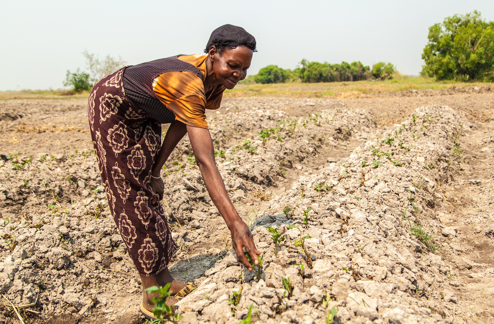 Female-Farmer-In-Zambia