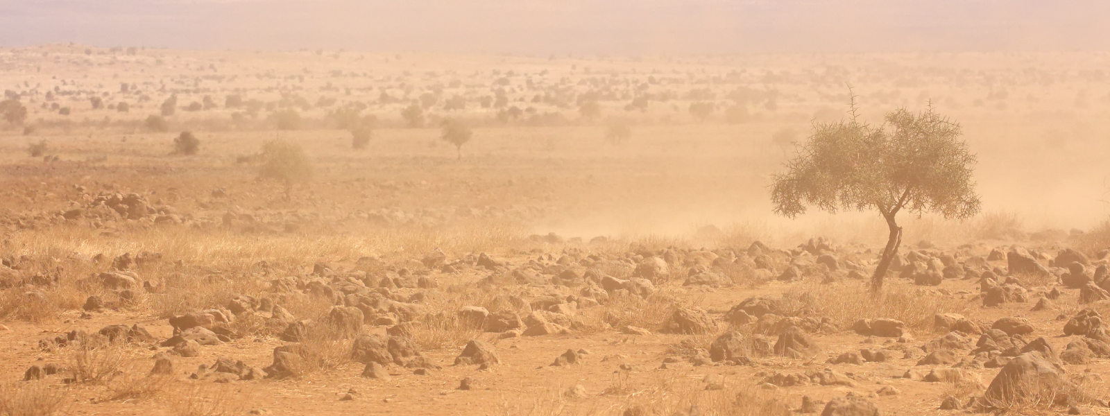 drought-in-kenya