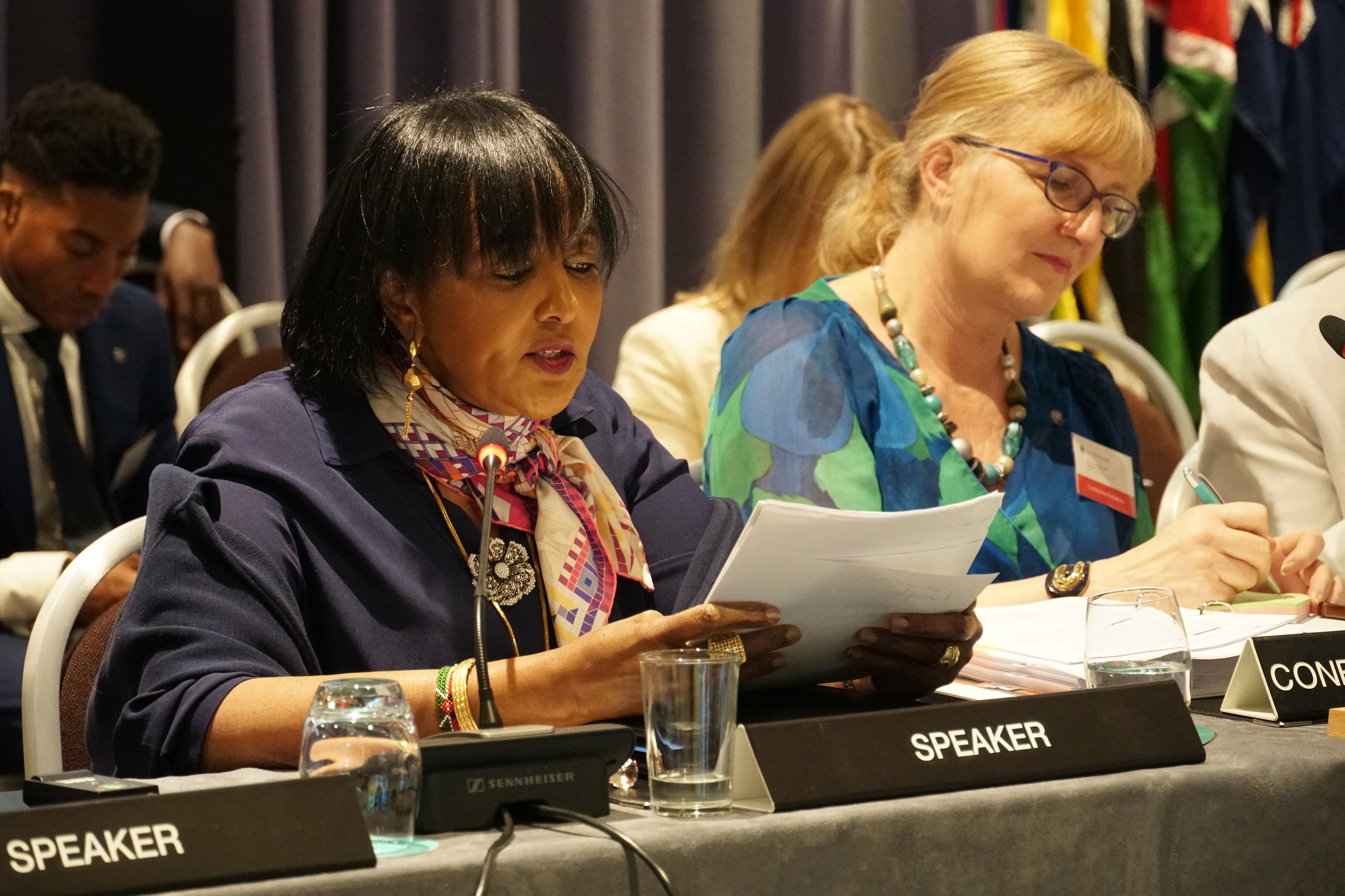 Ambassador Amina Chawahir Mohamed, former Cabinet Secretary for Education and Foreign Affairs of Kenya