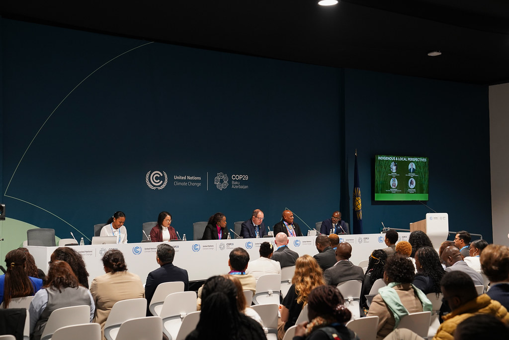 People speaking on a panel at the Iwokrama event at COP29