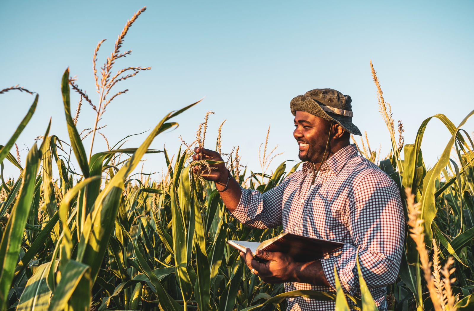 Agriculture and data