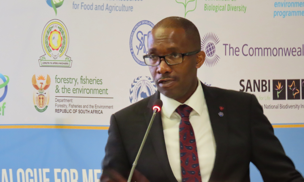 Mxolisi Sibanda, Interim Head of Climate Change, Commonwealth Secretariat