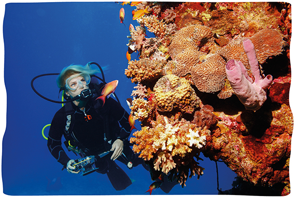 a scuba diver swimming past a vibrant coral reef