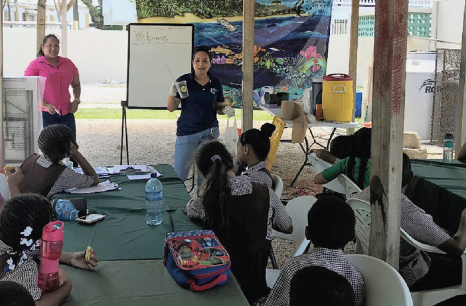 Case study: Developing a National Marine Litter Action Plan, Belize (on-going)