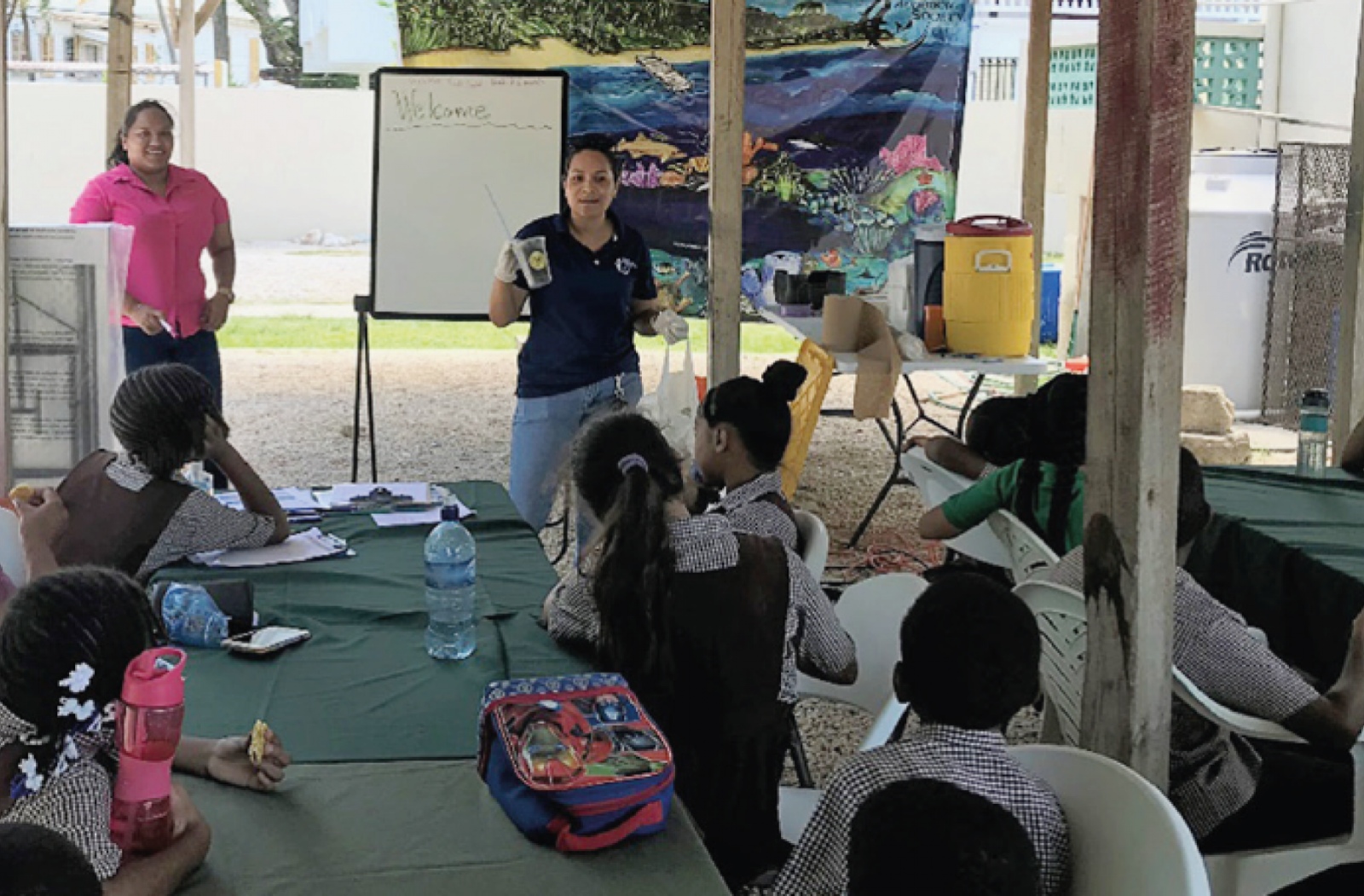 Case study: Developing a National Marine Litter Action Plan, Belize (on-going)