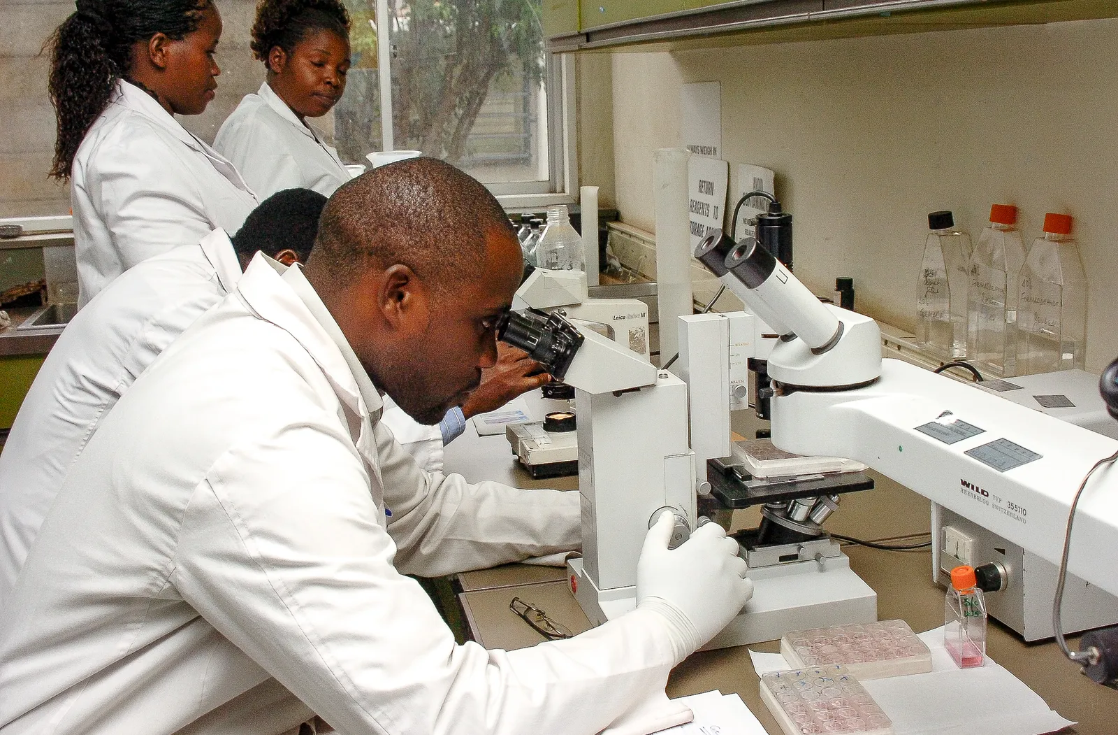 Scientist looking in a microscope