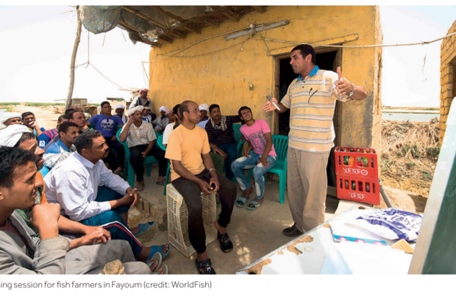 Case Study - Best Management Practice Training for Egyptian Fish Farmers Managed by WorldFish Under the IEIDEAS and STREAMS Projects