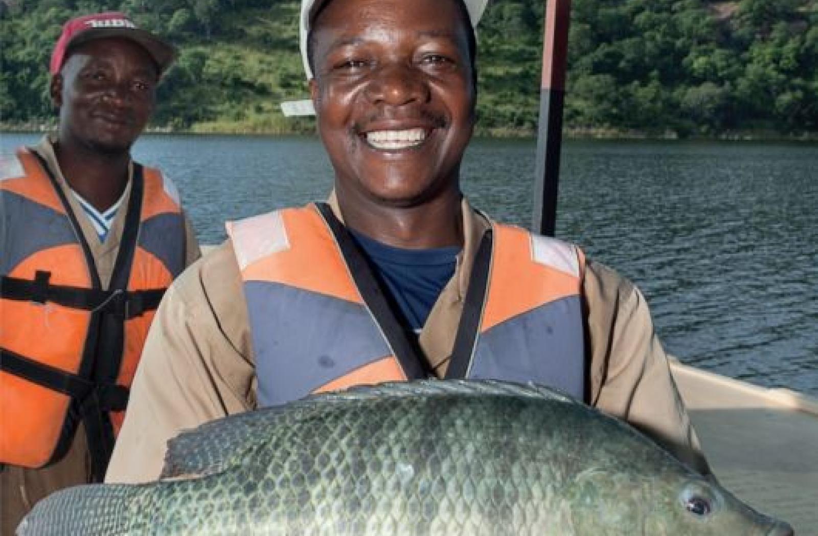 Case Study: Development of Chicoa Fish Farm in Mozambique (on-going)