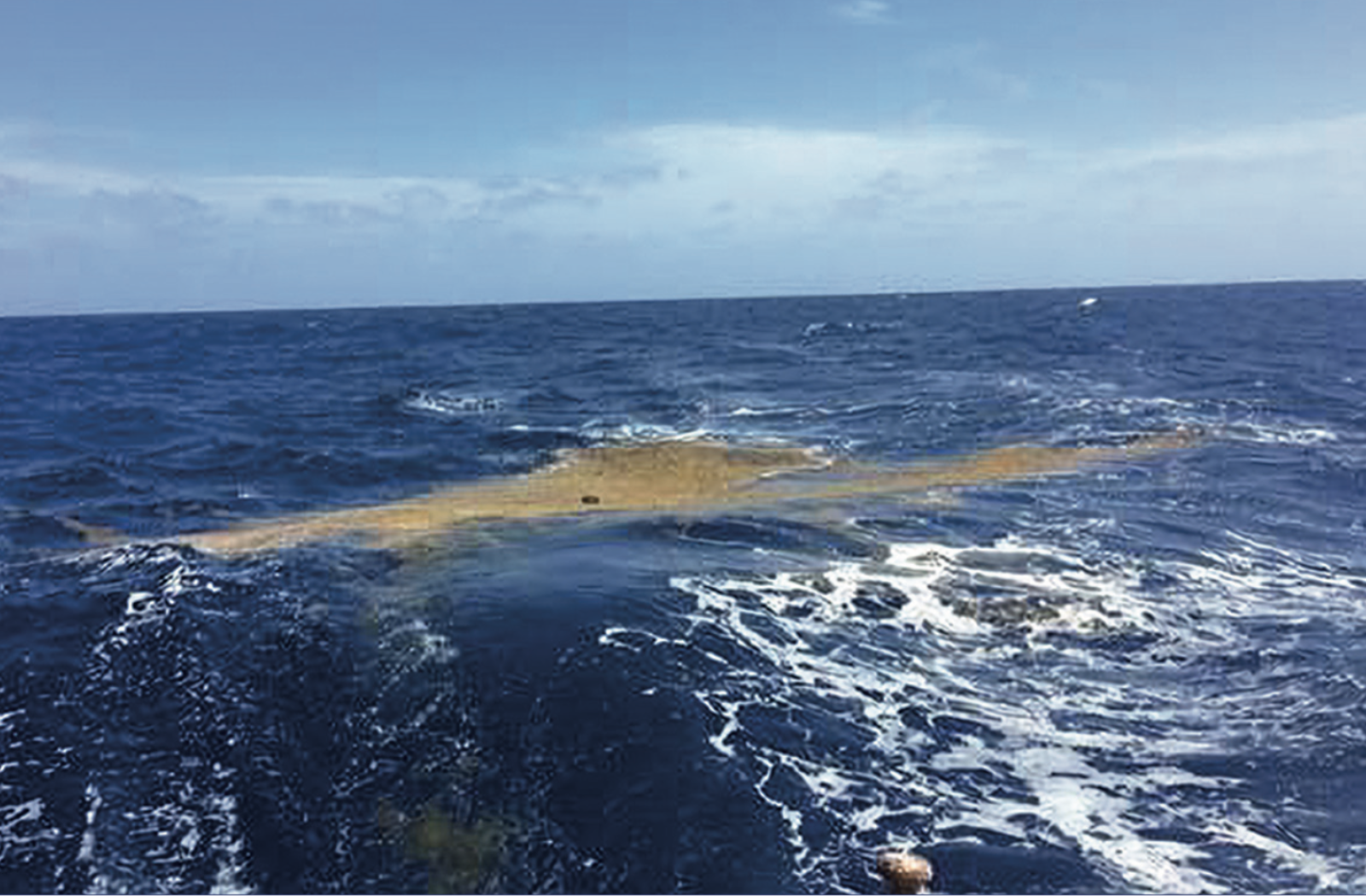 Case Study - Teleconnected SARgassum Risks Across the Atlantic Building Capacity for TRansformational Adaptation in the Caribbean and West Africa (SARTRAC) Jamaica, Saint Lucia, Ghana (ongoing)