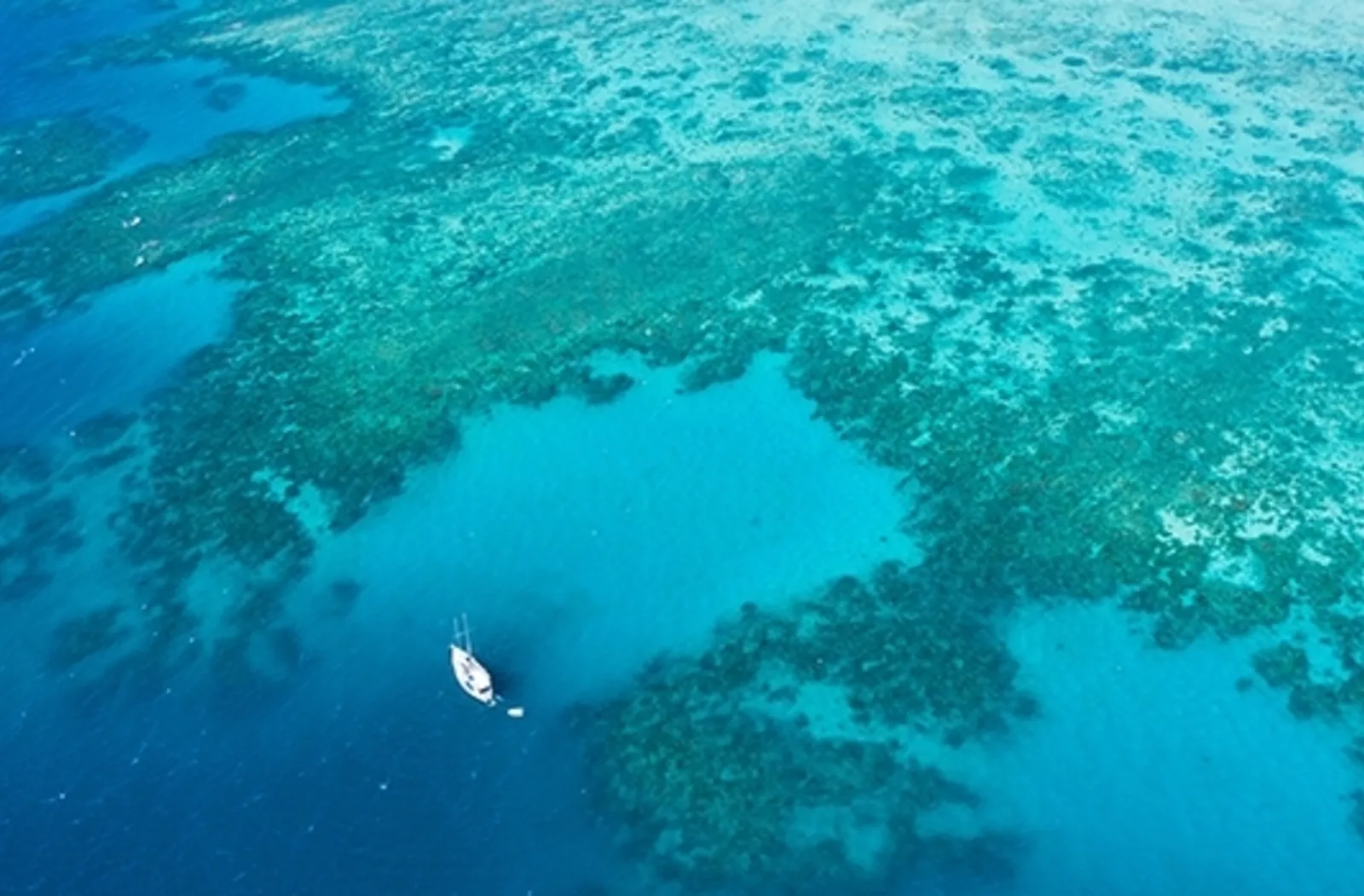 Blue Charter header