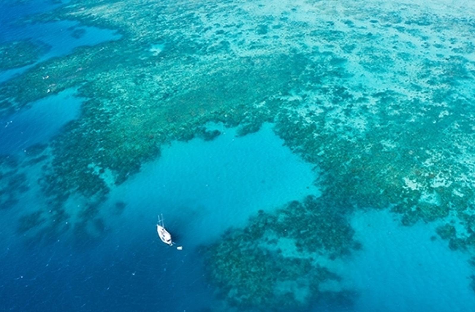 Blue Charter header