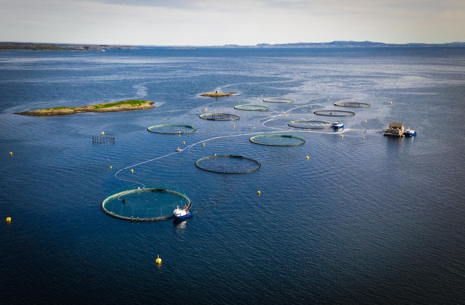 Aerial view of a fish farm