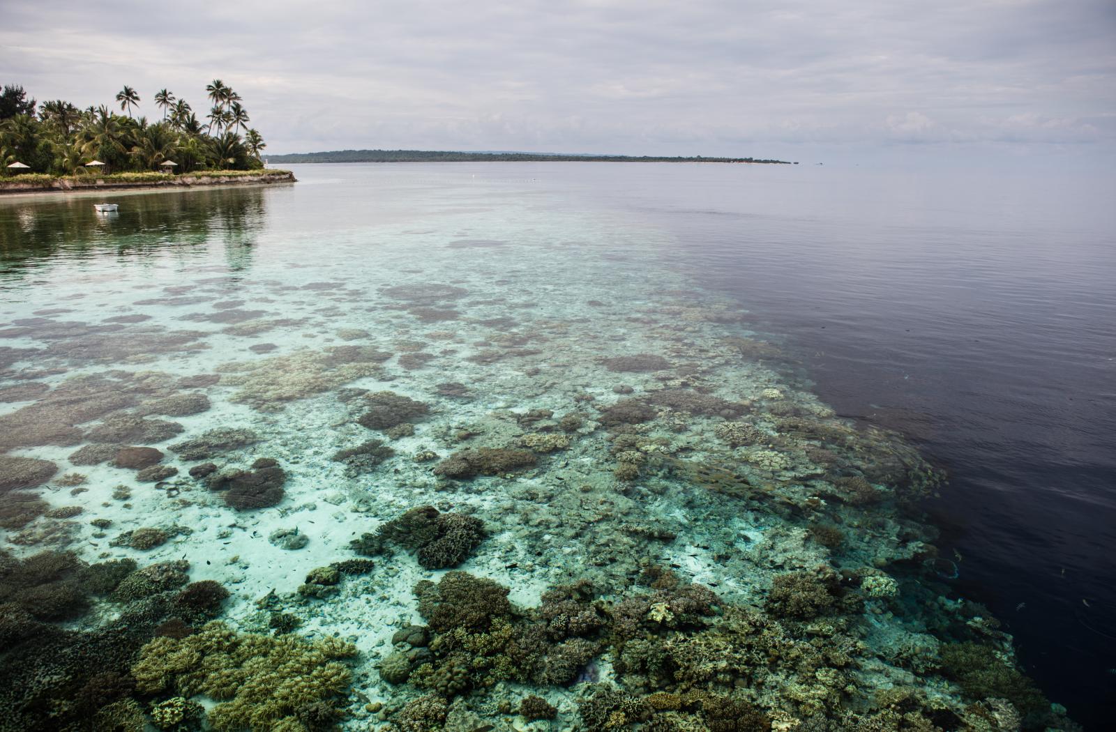 ocean coast in tropical region