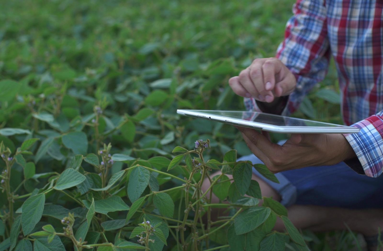 farmer using a tablet 