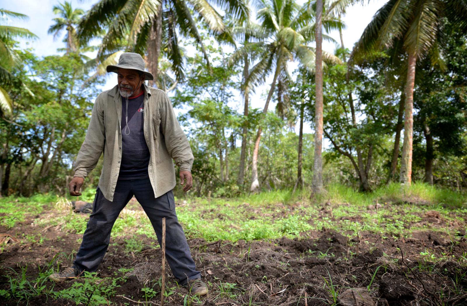 Farmer in tonga