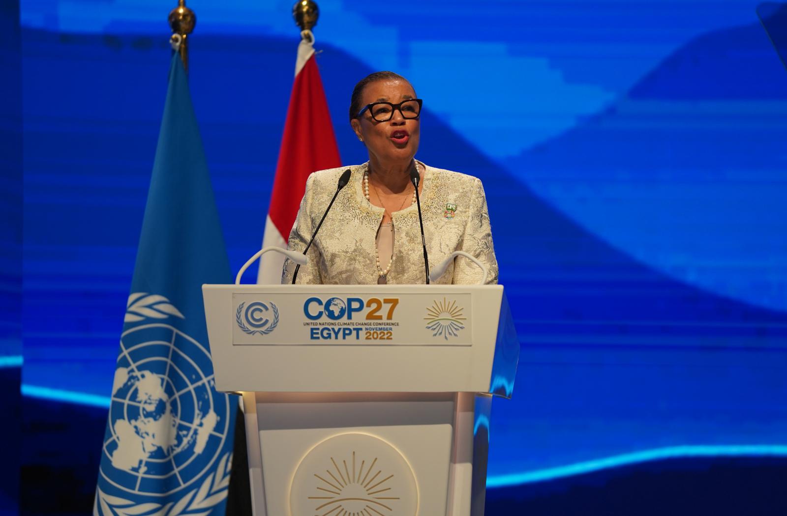 Secretary-General at COP27