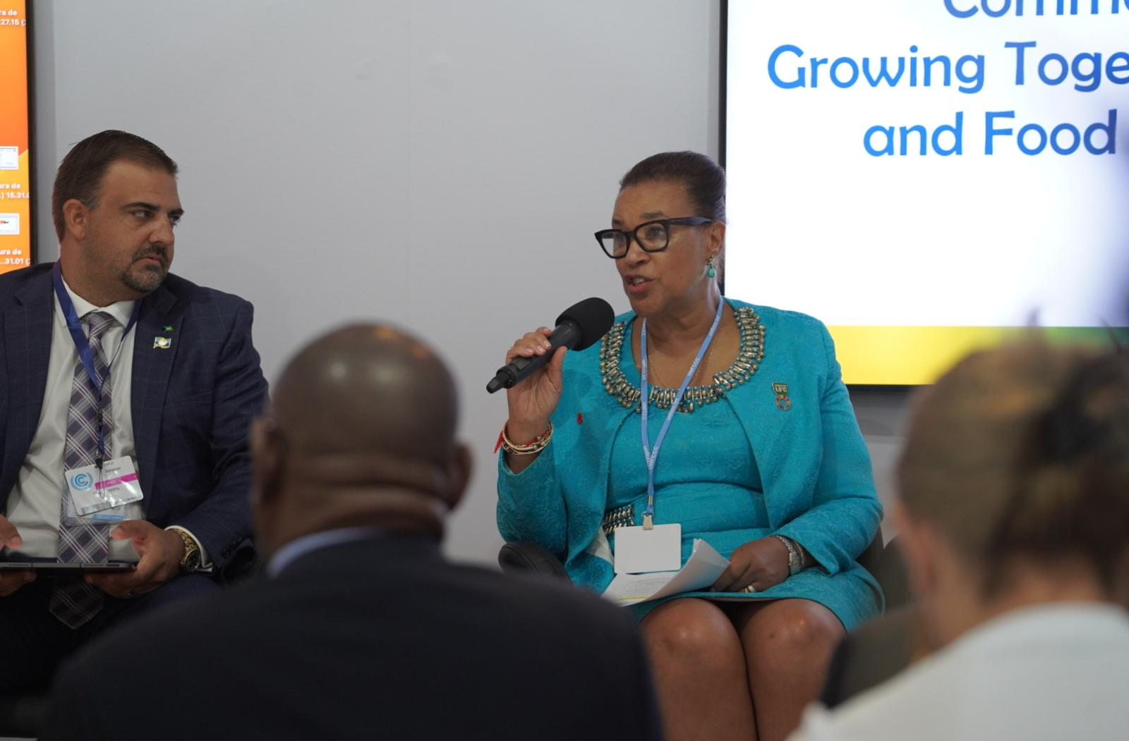 SG at cop27