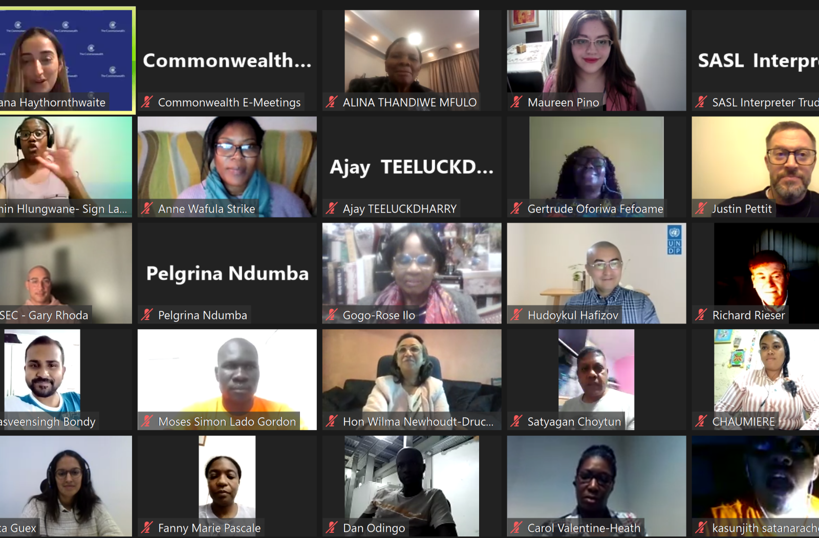 webinar screenshot