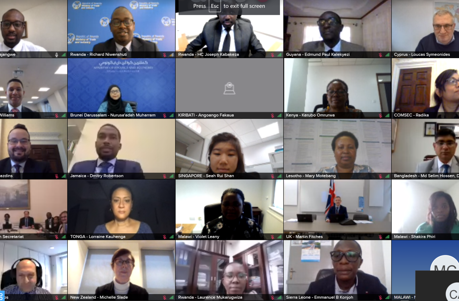 CTMM Virtual Meeting