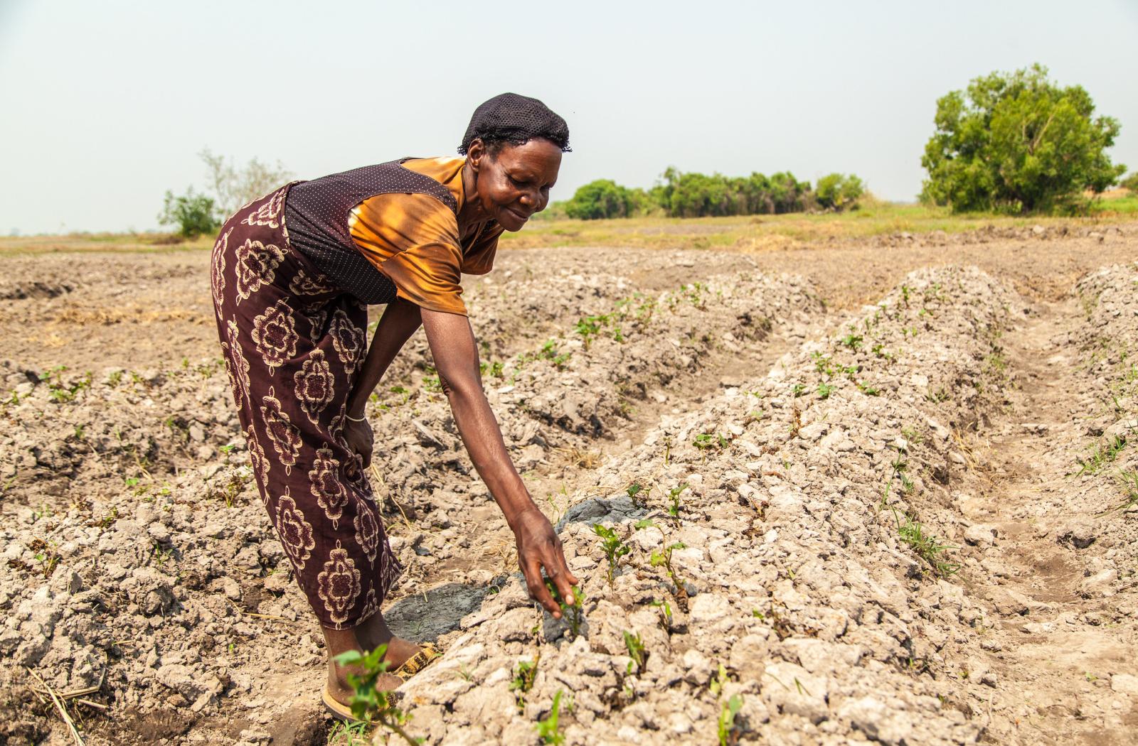 Zambia secures funds for climate adaptation with Commonwealth support
