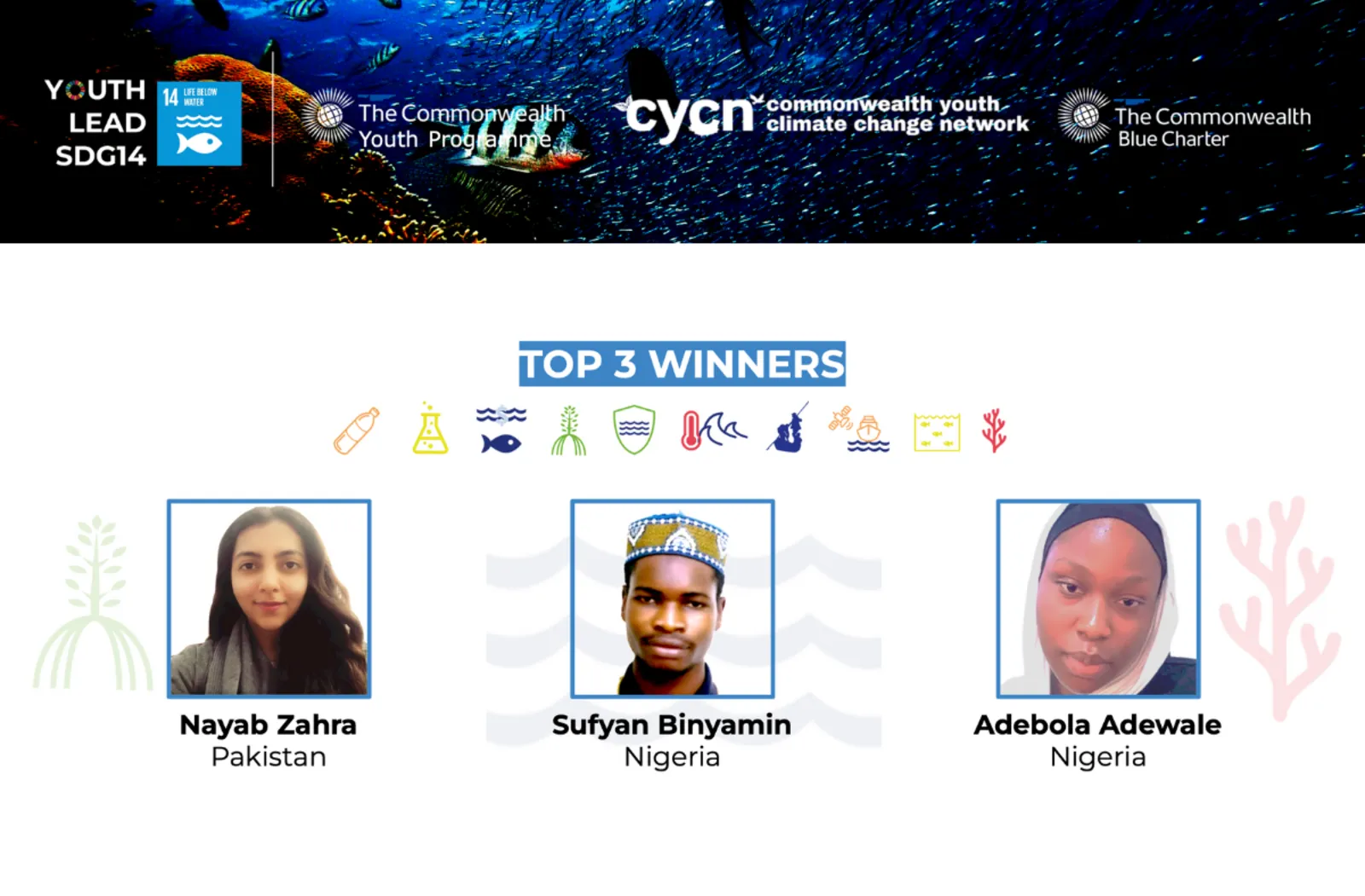 3 Winners