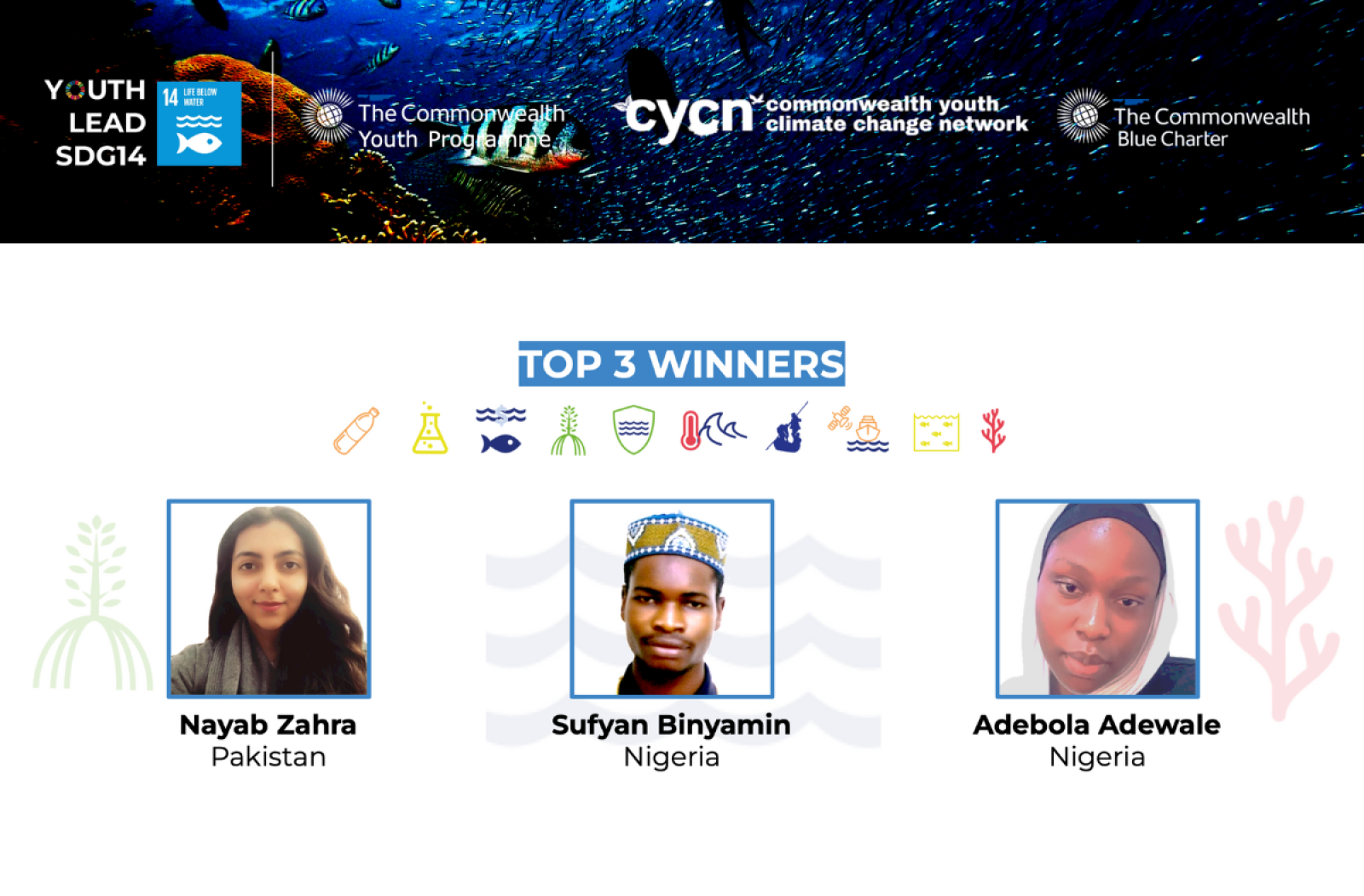 3 Winners