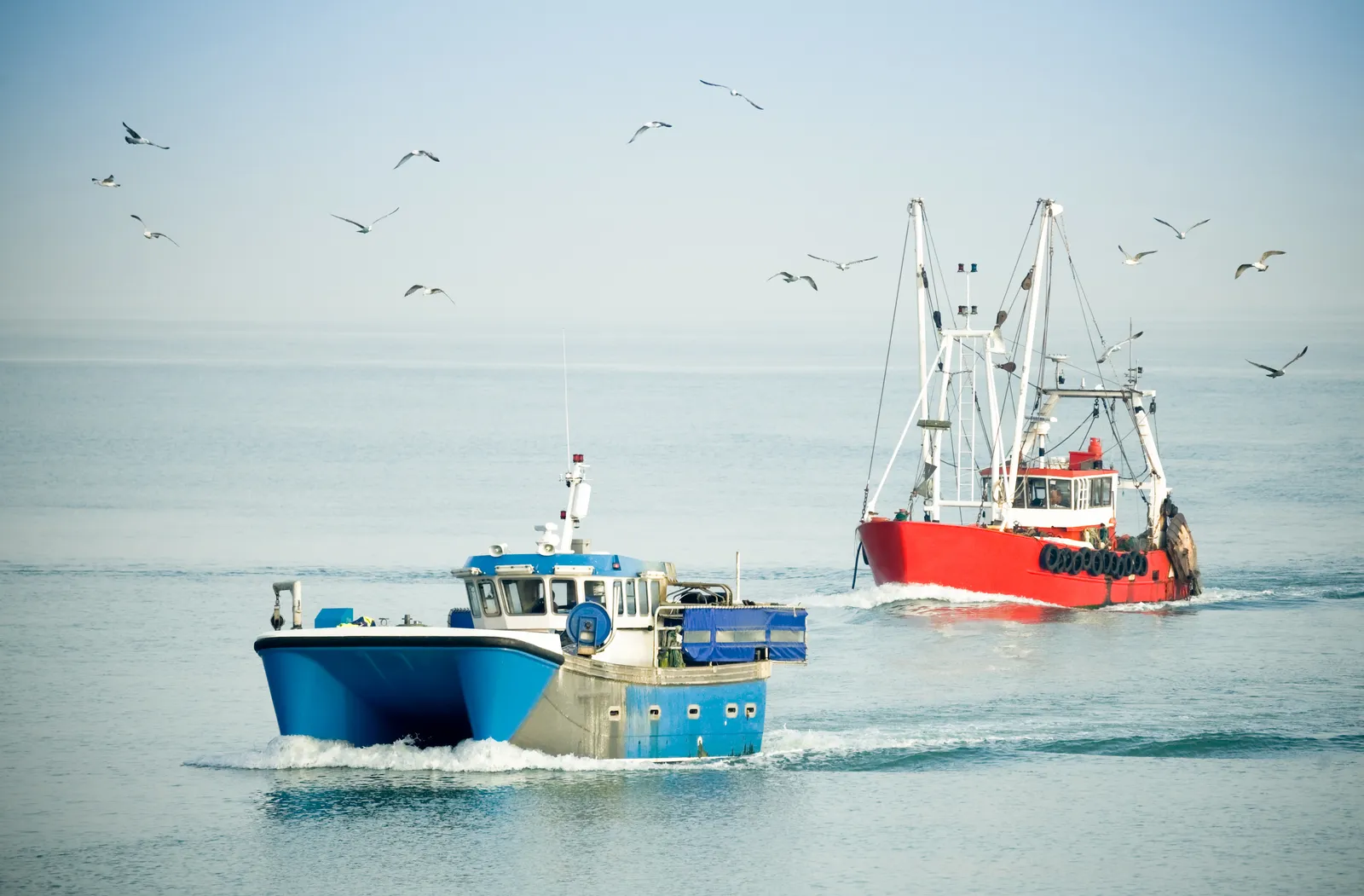 Trolleys on the ocean