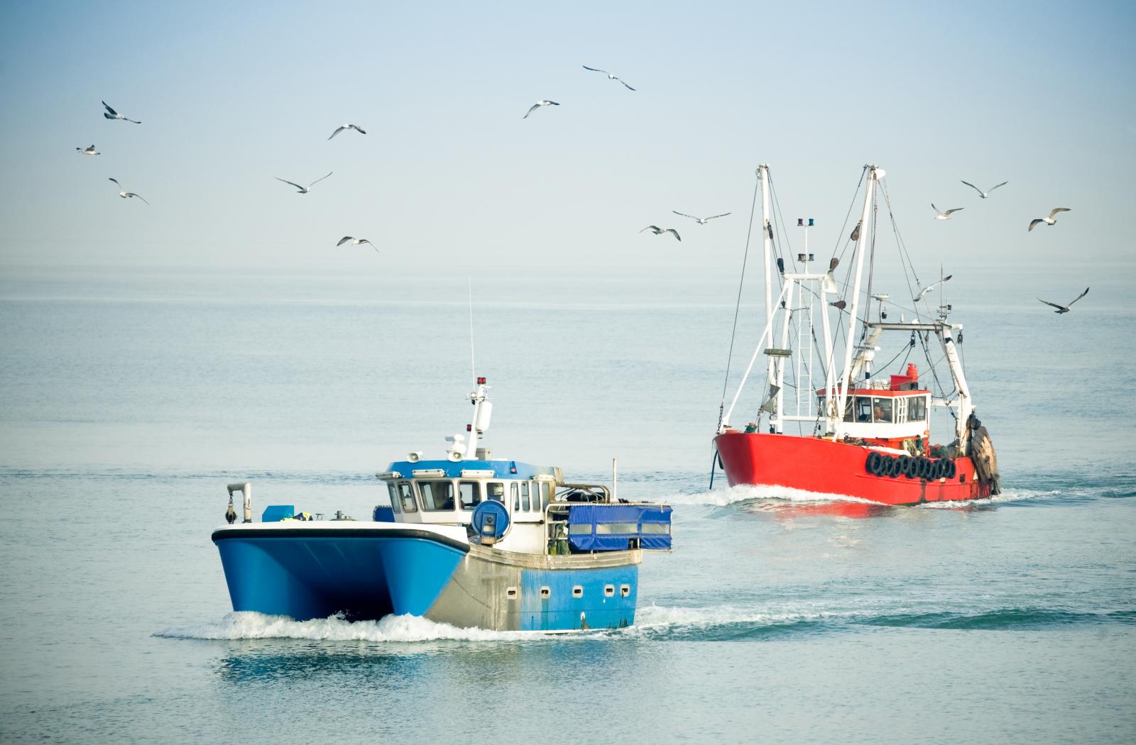 Trolleys on the ocean