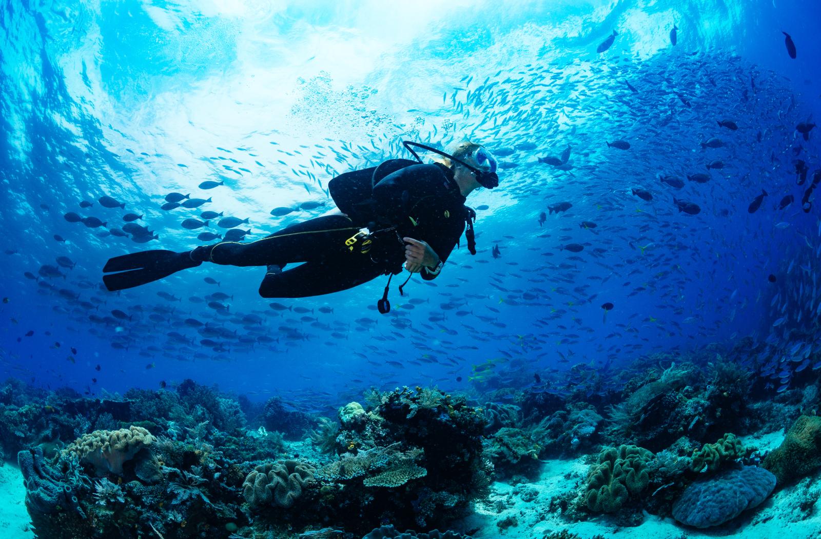 Female scuba diver