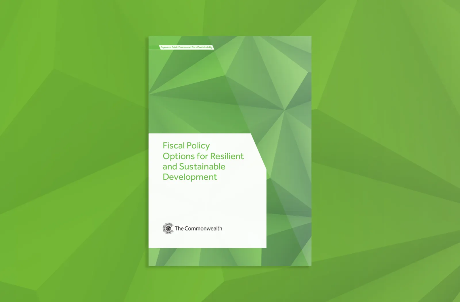 Cover image of the Fiscal Policy Options for Resilient and Sustainable Development paper