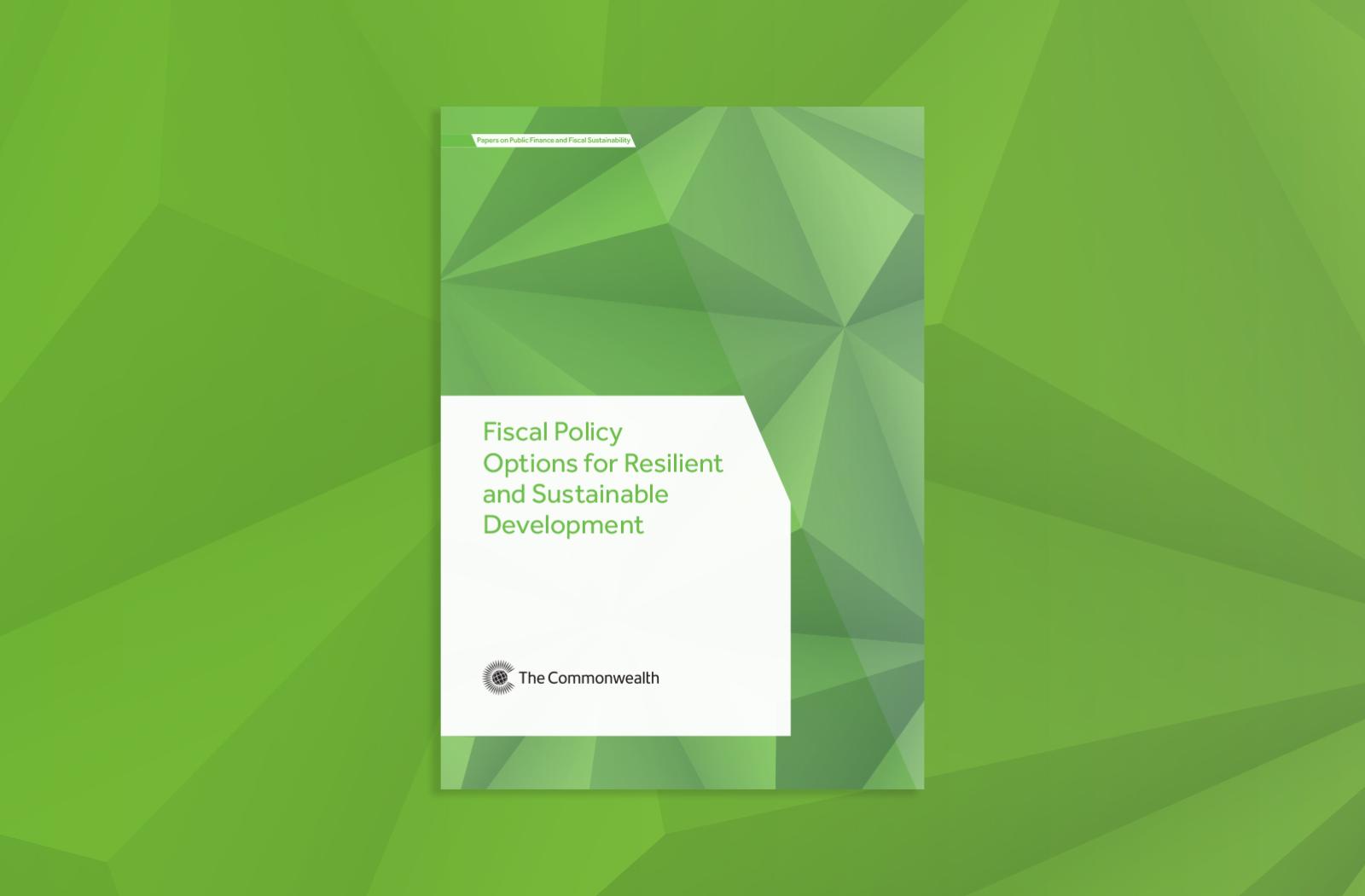 Cover image of the Fiscal Policy Options for Resilient and Sustainable Development paper
