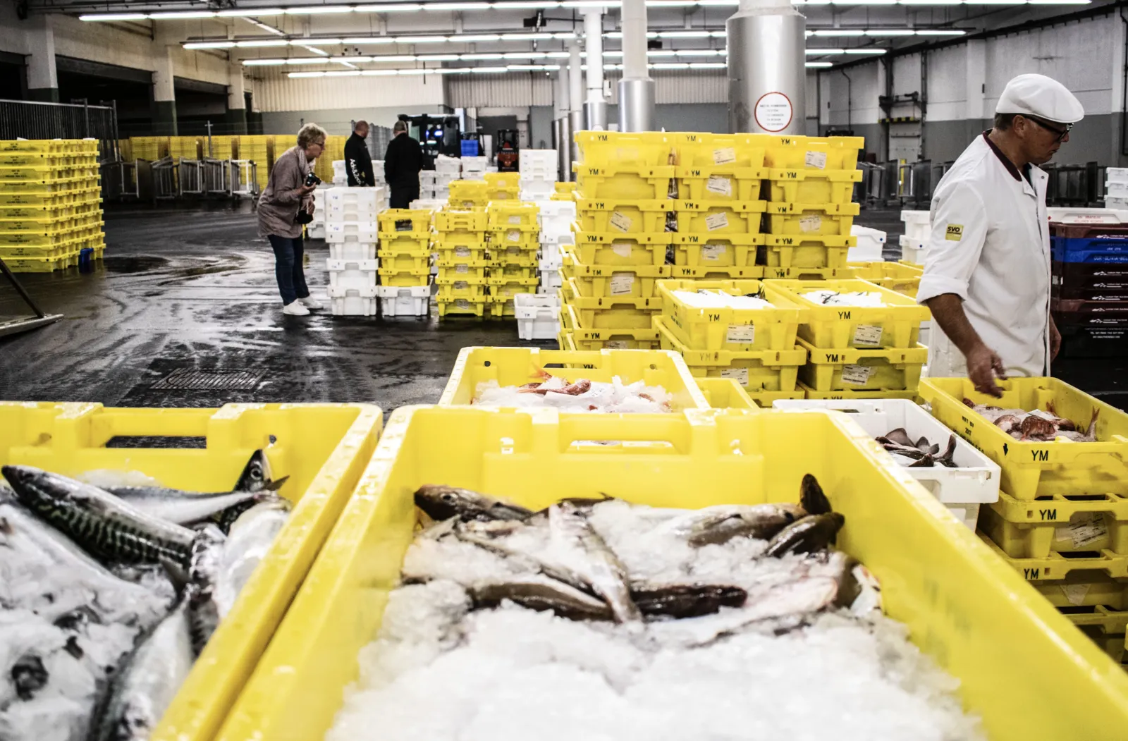 A fish market