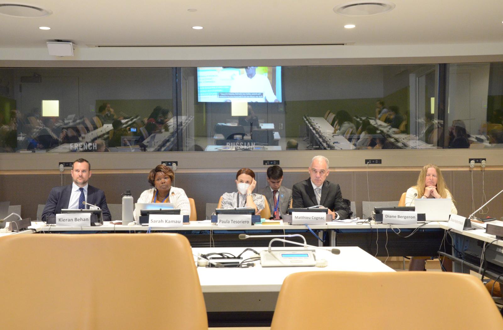 Panel member speaking