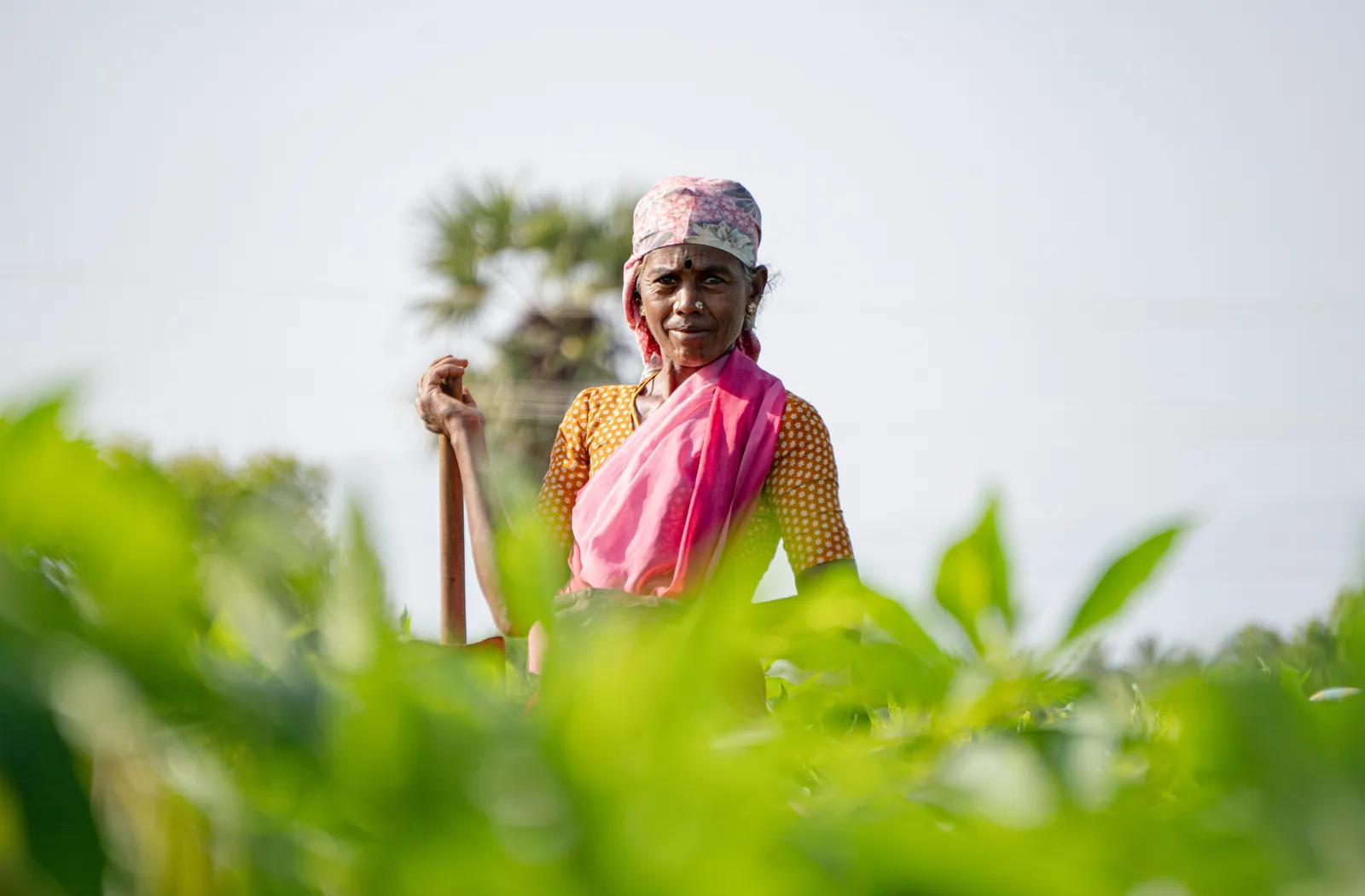 Woman standing in a field