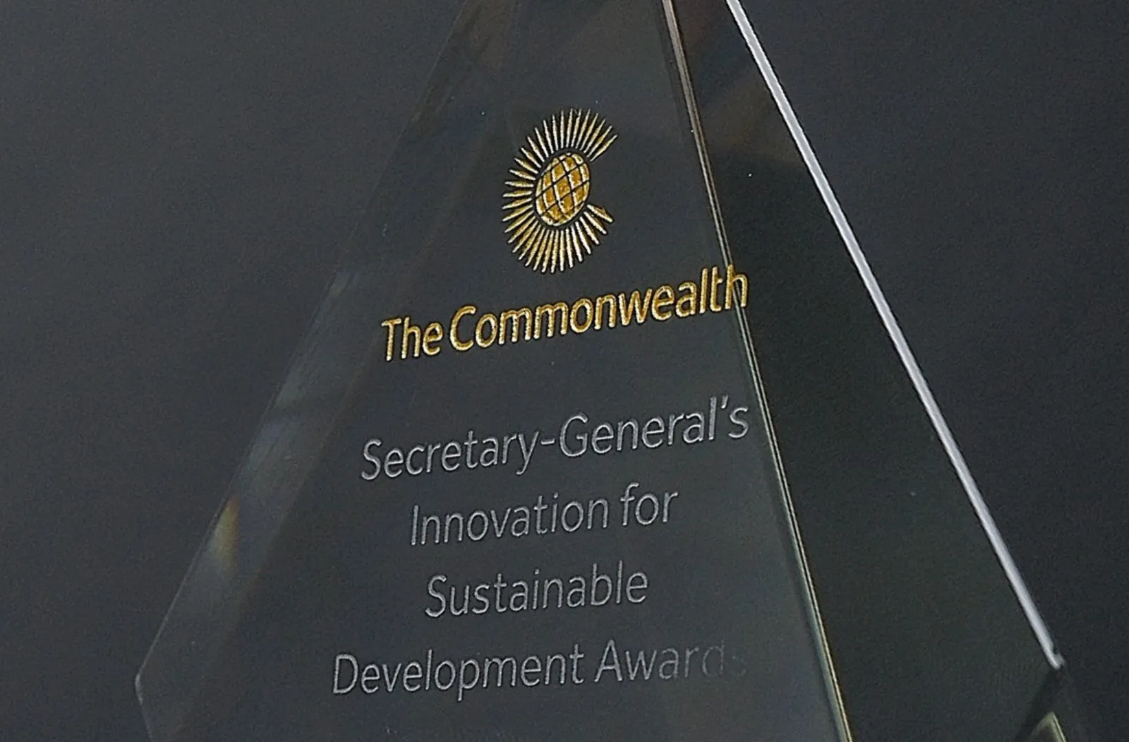Sustainable Development Awards trophy