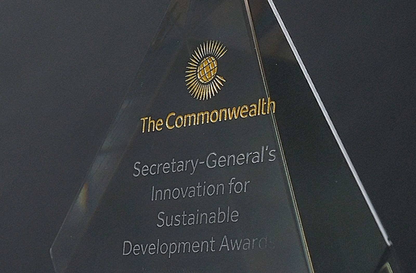 Sustainable Development Awards trophy