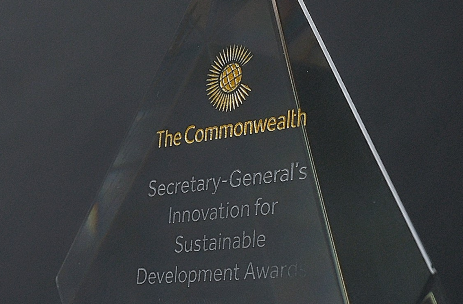Sustainable Development Awards trophy
