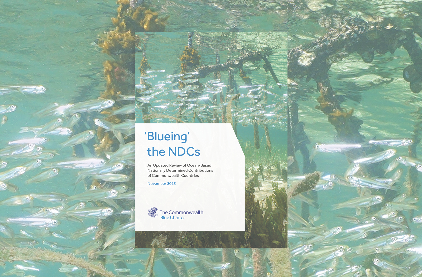 Cover image of Blueing the NDCs - update