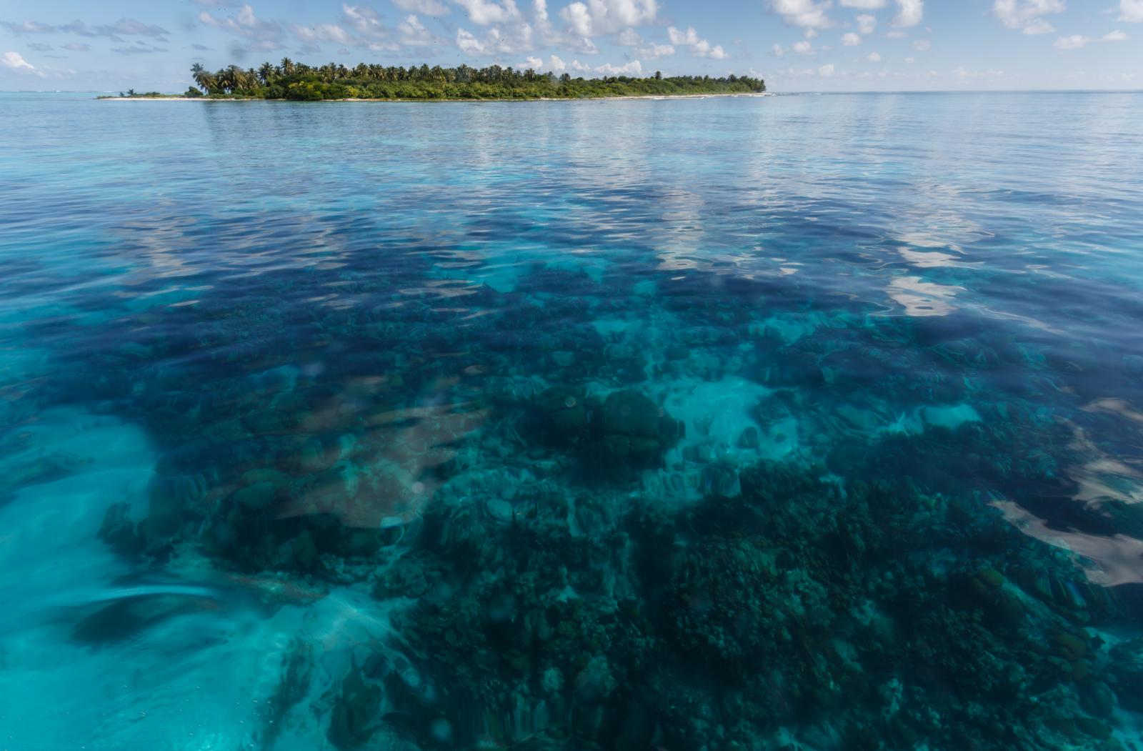 An island in Belize